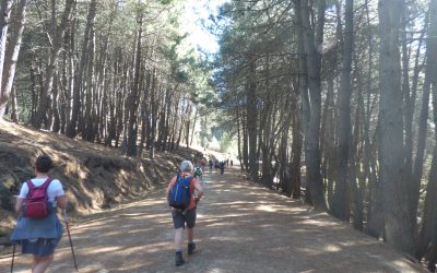 New nature routes planned for Marbella & Ojén